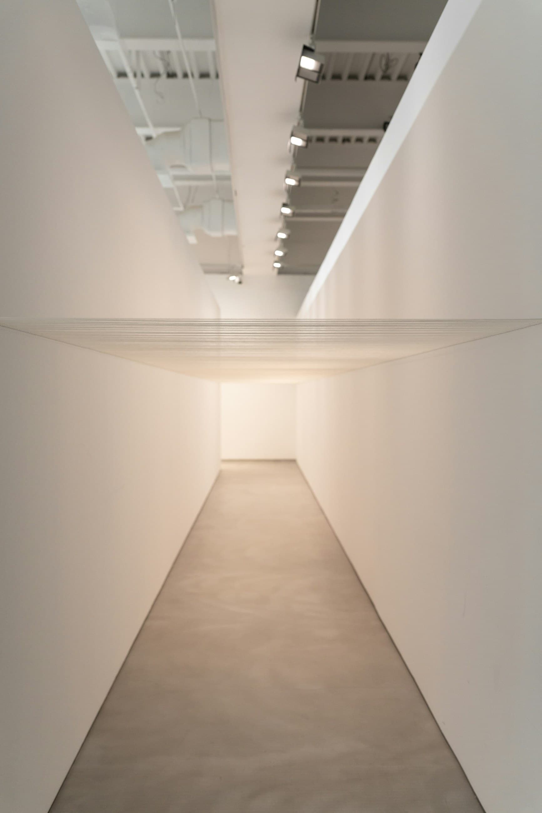 Modern art gallery hallway with minimalist white walls